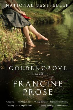 Cover of the book Goldengrove by Jillian Cantor