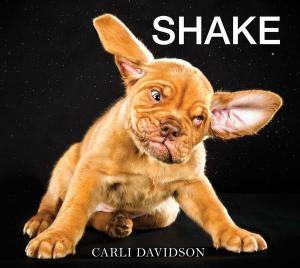 Cover of the book Shake by Rachel Felder