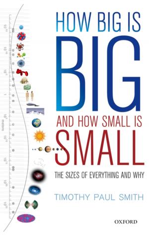 Cover of the book How Big is Big and How Small is Small by Dr. Christopher Handy, Ph.D.
