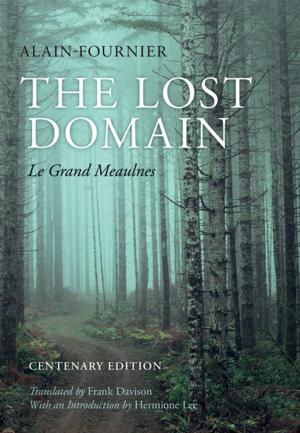 Book cover of The Lost Domain
