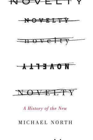 Cover of the book Novelty by Benjamin J. Cohen