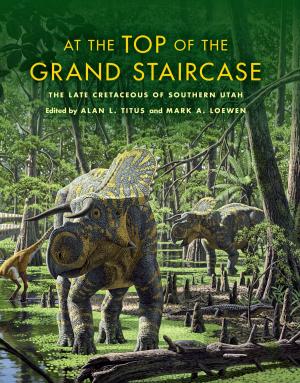 Cover of the book At the Top of the Grand Staircase by John H Hanson, Patrick O'Meara