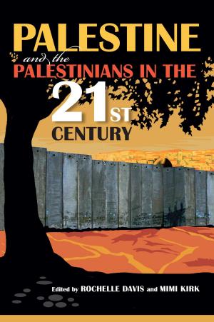 Cover of the book Palestine and the Palestinians in the 21st Century by John Sallis