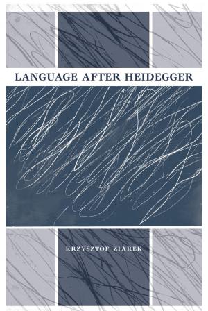 Cover of the book Language after Heidegger by Galina Kopytova