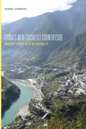 Cover of the book China's New Socialist Countryside by Gillian G. Tan, Stevan Harrell