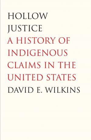 Cover of the book Hollow Justice by Professor Kennon M. Sheldon, Geoffrey Williams, Dr. Thomas Joiner