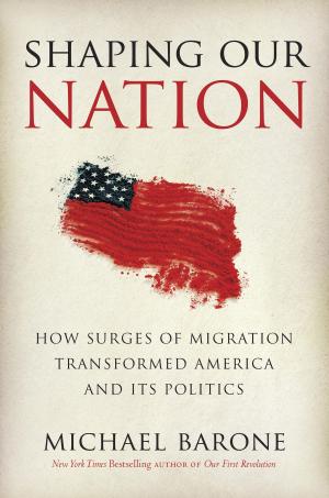 Book cover of Shaping Our Nation