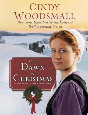 Cover of the book The Dawn of Christmas by Phil Callaway