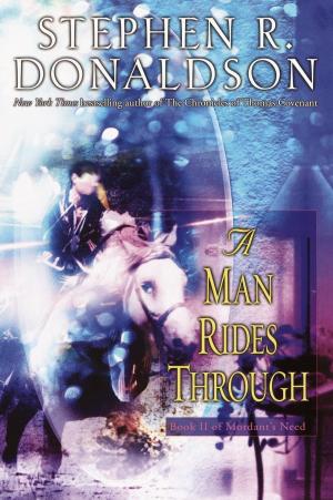 Cover of the book A Man Rides Through by Michael Crichton