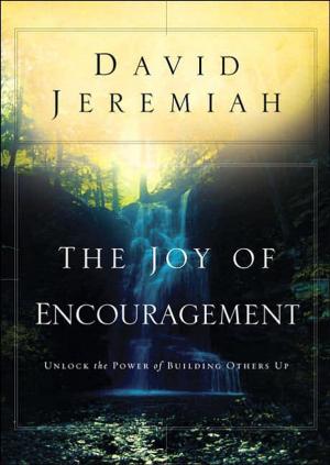 Cover of the book The Joy of Encouragement by Carl Anderson