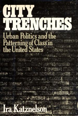 Cover of the book City Trenches by Ingrid Rojas Contreras
