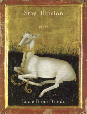 Book cover of Stay, Illusion