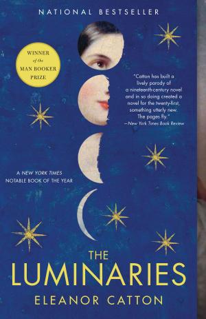 Cover of the book The Luminaries by Sarah Faber