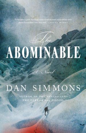 Book cover of The Abominable
