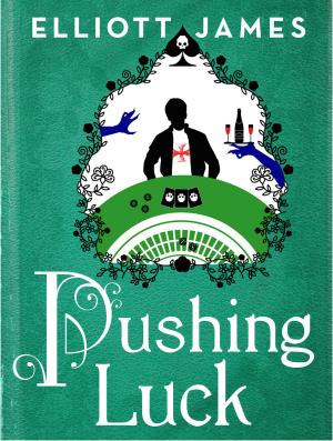 Cover of the book Pushing Luck by Glenda Larke