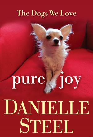 Cover of the book Pure Joy by Elizabeth Berg