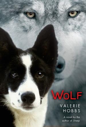 Cover of the book Wolf by Jane Schoenberg