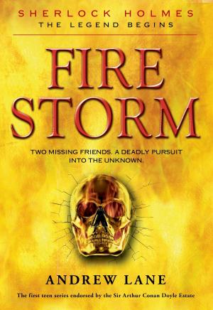Cover of the book Fire Storm by John McPhee