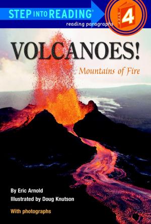 Cover of the book Volcanoes! by Druin Burch