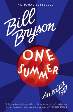 Cover of the book One Summer by Elisha Waldman