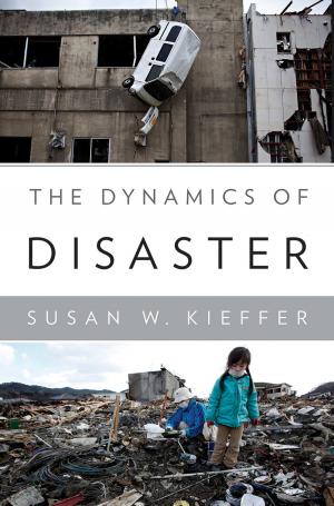 Cover of the book The Dynamics of Disaster by Frederic C. Rich