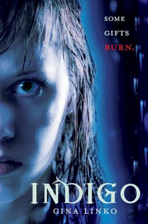 Cover of the book Indigo by Jay Kristoff