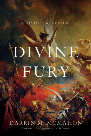 Cover of the book Divine Fury by Carl Sindermann