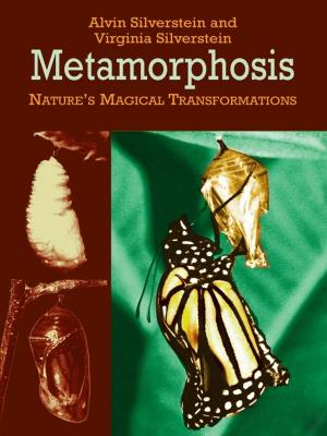 Cover of the book Metamorphosis by Nathaniel Hawthorne