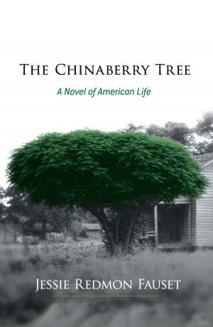 Cover of the book The Chinaberry Tree by G. Stephenson