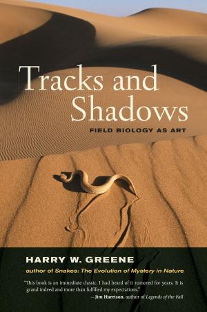 Cover of the book Tracks and Shadows by David Kinsley