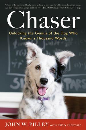 Cover of the book Chaser by Terry Lynn Johnson