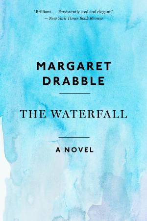 Book cover of The Waterfall