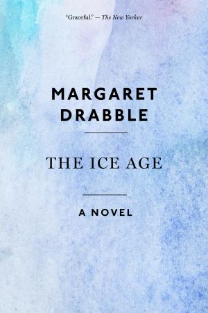 Cover of the book The Ice Age by Marilyn Singer