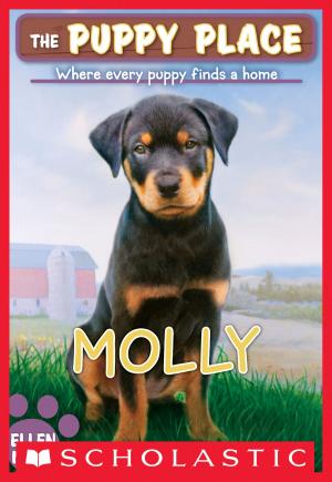 Cover of the book The Puppy Place #31: Molly by Dav Pilkey