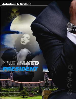 Cover of the book The Naked President by Col. Fernando Morote-Solari, Elsa-Sofia Morote, Patricia Bowens McCarthy