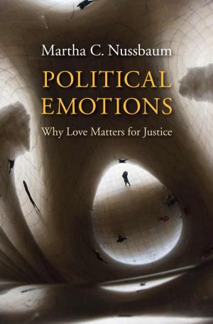 Cover of the book Political Emotions by Leland de la Durantaye