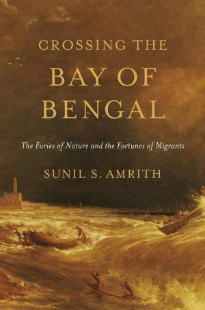 Cover of Crossing the Bay of Bengal
