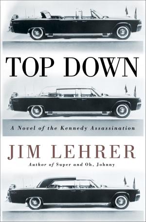 Cover of the book Top Down by David J. Williams, Mark Williams