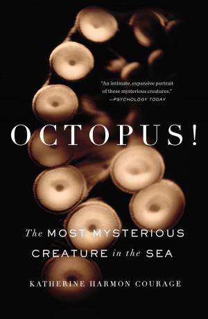 Cover of the book Octopus! by Matt McCarthy