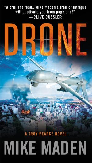 Cover of the book Drone by Gerry Schmitt