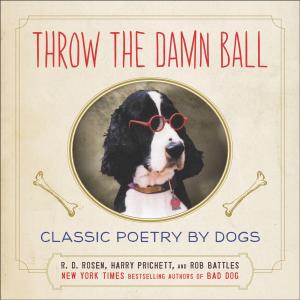 Book cover of Throw the Damn Ball