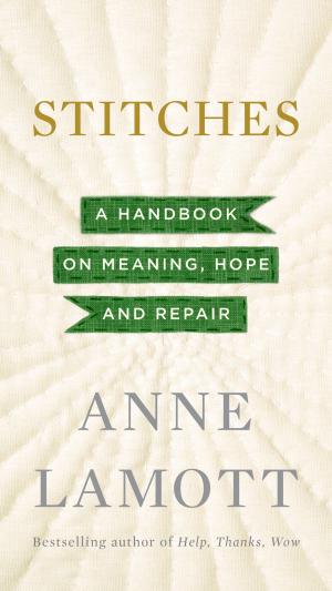 Cover of the book Stitches by Amanda Lee