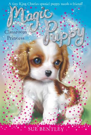 Cover of the book Classroom Princess #9 by Kieran Scott