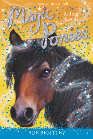 Cover of the book Riding Rescue #6 by Paula Danziger