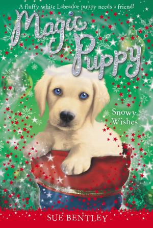 Cover of the book Snowy Wishes by James Buckley, Jr.