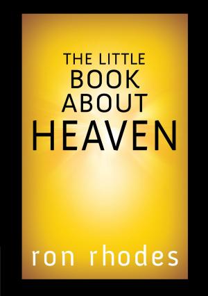 Cover of the book The Little Book About Heaven by David Hawkins