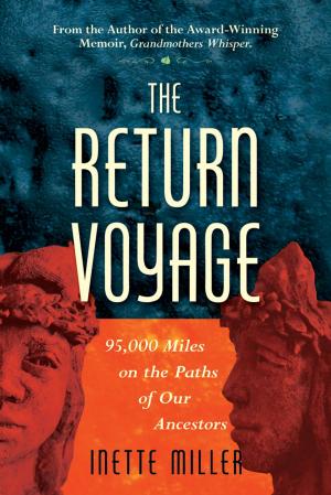 Cover of the book The Return Voyage by Philip S. Salisbury