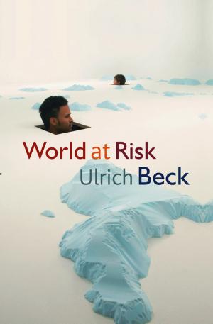 Cover of the book World at Risk by Charles S. Cockell