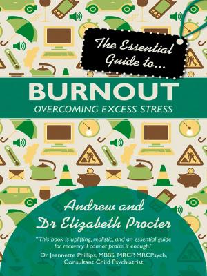 Cover of the book The Essential Guide to Burnout by E.R. Carpenter