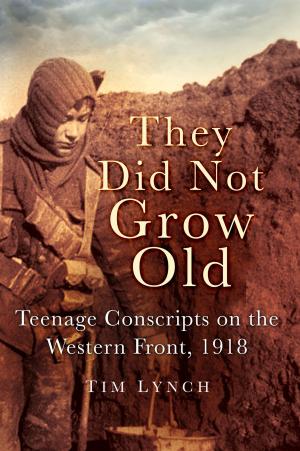 Cover of the book They Did Not Grow Old by Steve Gibson